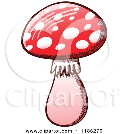 Cartoon of a Red Poisonous Fly Agaric Mushroom - Royalty Free Vector Clipart by Zooco