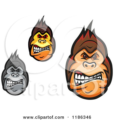Clipart of Mad Gorilla Faces - Royalty Free Vector Illustration by Vector Tradition SM