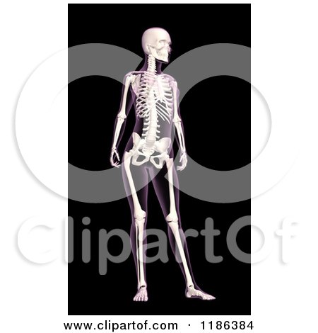 Clipart of a 3d Female Xray with Visible Skeleton, on Black - Royalty Free CGI Illustration by KJ Pargeter