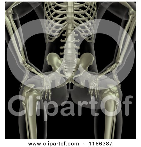 Clipart of a 3d Xray Male Skeleton in a Sitting Position, on Black - Royalty Free CGI Illustration by KJ Pargeter