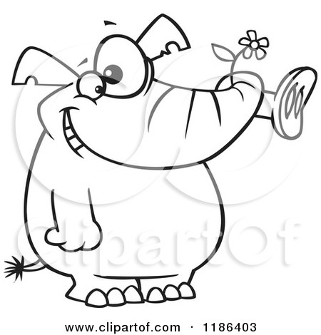 Cartoon of a Black And White Giddy Elephant Holding a Flower in His Trunk - Royalty Free Vector Clipart by toonaday