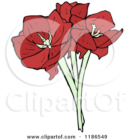Clip Art of a Bouquet of Red Flowers - Royalty Free Vector Illustration by lineartestpilot