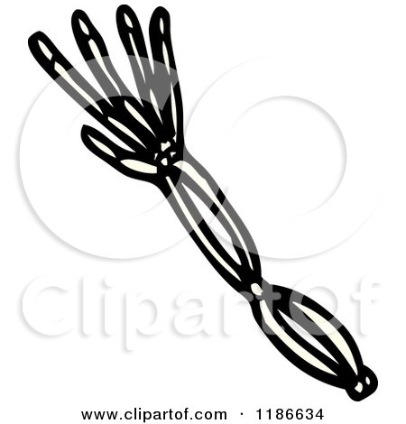 Cartoon of the Skeleton of an Arm - Royalty Free Vector Illustration by lineartestpilot