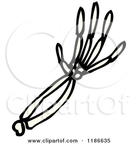 Cartoon of the Skeleton of an Arm - Royalty Free Vector Illustration by lineartestpilot