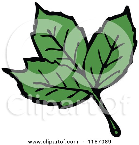 Clip Art of Leaves - Royalty Free Vector Illustration by lineartestpilot