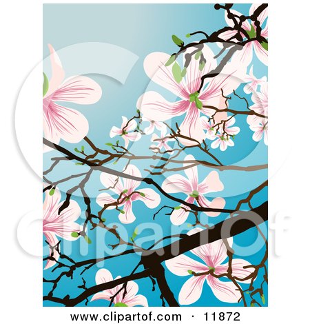 Flowering Magnolia Tree Clipart Illustration by AtStockIllustration
