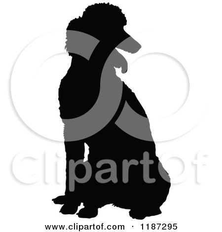 Cartoon of a Black Silhouette of a Poodle Sitting - Royalty Free Vector Clipart by Maria Bell