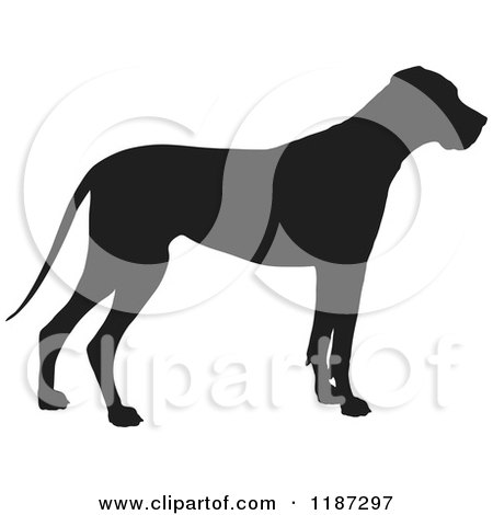 Cartoon of a Black Silhouette of a Great Dane Standing in Profile - Royalty Free Vector Clipart by Maria Bell