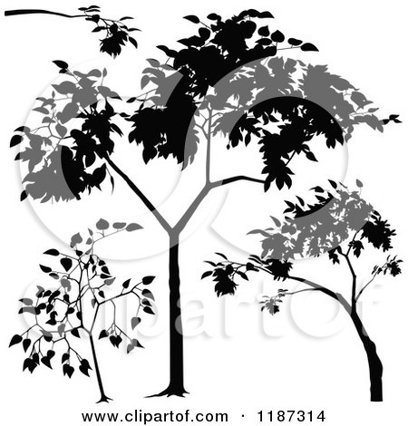 Clipart of Silhouetted Branches and Trees - Royalty Free Vector Illustration by dero