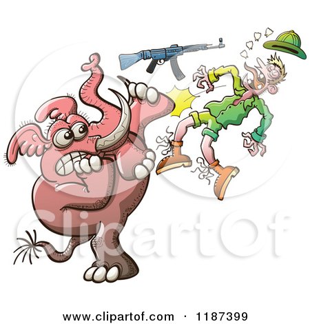 Cartoon of a Mad Elephant Knocking out a Hunter's Teeth - Royalty Free Vector Clipart by Zooco