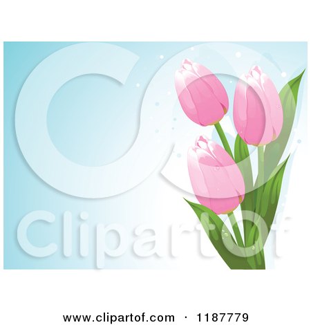 Clipart of a Gradient Blue Background with Dots and Pink Spring Tulip Flowers - Royalty Free Vector Illustration by Pushkin