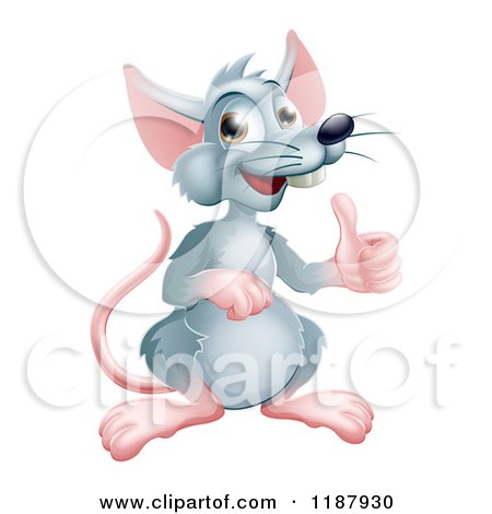 Cartoon of a Happy Gray Rat Mascot Holding a Thumb up - Royalty Free Vector Clipart by AtStockIllustration