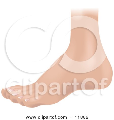 Human Foot Clipart Illustration by AtStockIllustration