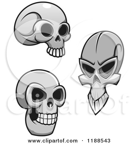 Clipart of Grayscale Skulls - Royalty Free Vector Illustration by Vector Tradition SM