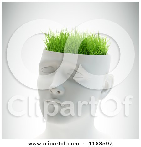 Clipart of a 3d White Male Head with Grass, on Shading - Royalty Free CGI Illustration by Mopic