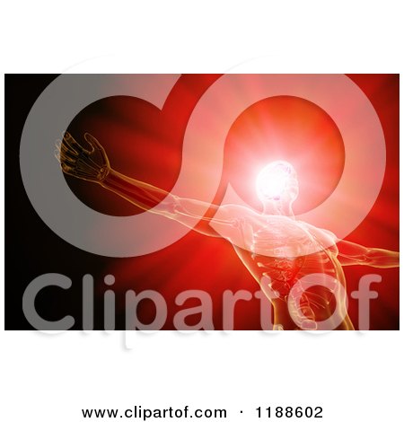 Clipart of a 3d Xray Man with a Glowing Brain on Red - Royalty Free CGI Illustration by Mopic