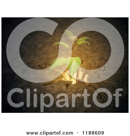 Clipart of a 3d Seedling Plant Growing Through a Crack in the Ground - Royalty Free CGI Illustration by Mopic