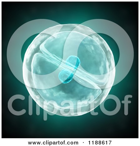 Clipart of a 3d Dividing Cell - Royalty Free CGI Illustration by Mopic