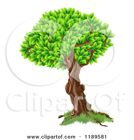 Clipart of a Tree with a Textured Trunk and Lush Foliage - Royalty Free Vector Illustration by AtStockIllustration
