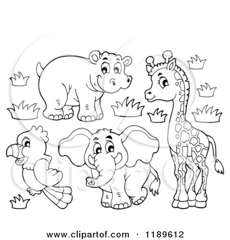 Cartoon of an Outlined Cute African Hippo Giraffe Elephant and Parrot - Royalty Free Vector Clipart by visekart