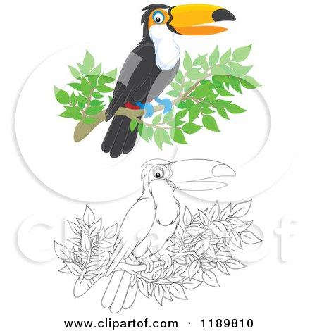 Cartoon of a Happy Outlined and Colored Toucan Bird on a Branch - Royalty Free Vector Clipart by Alex Bannykh