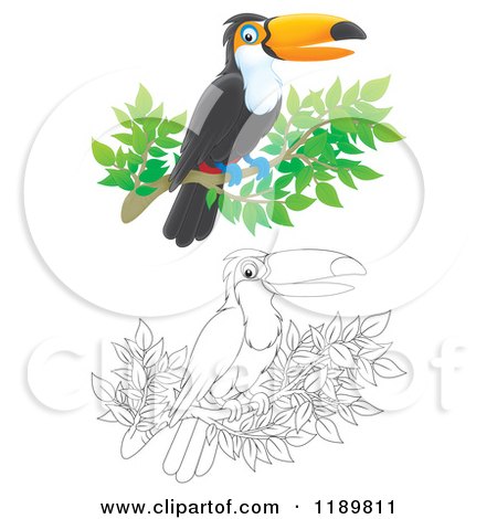 Cartoon of a Happy Airbrushed and Outlined Toucan Bird on a Branch - Royalty Free Clipart by Alex Bannykh