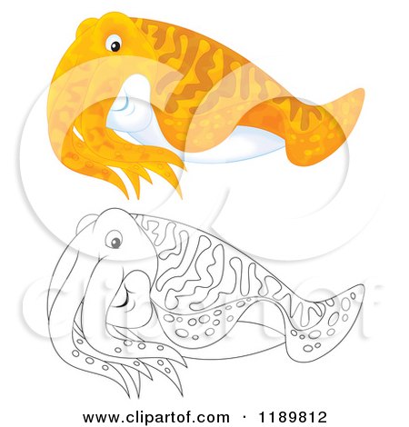 Cartoon of a Cute Outlined and Colored Cuttlefish - Royalty Free Clipart by Alex Bannykh