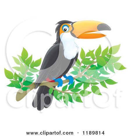 Cartoon of a Happy Airbrushed Toucan Bird on a Branch - Royalty Free Clipart by Alex Bannykh