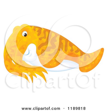 Cartoon of a Cute Orange Cuttlefish - Royalty Free Clipart by Alex Bannykh