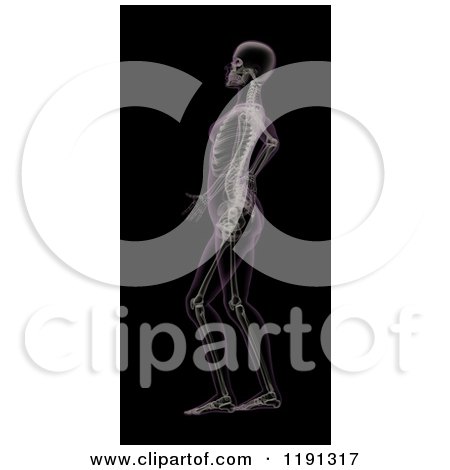 Clipart of a 3d Female Skeleton with Back Pain, on Black - Royalty Free CGI Illustration by KJ Pargeter