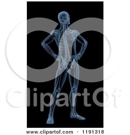 Clipart of a 3d Male Skeleton with Skin on Black - Royalty Free CGI Illustration by KJ Pargeter