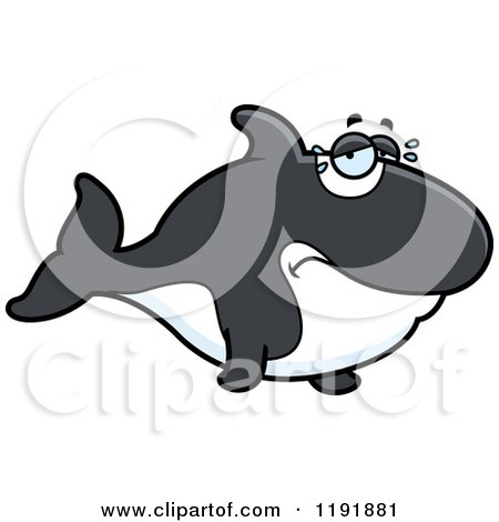 Cartoon of a Crying Orca Killer Whale - Royalty Free Vector Clipart by Cory Thoman
