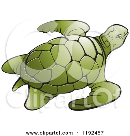 Clipart of a Green Sea Turtle - Royalty Free Vector Illustration by Lal Perera