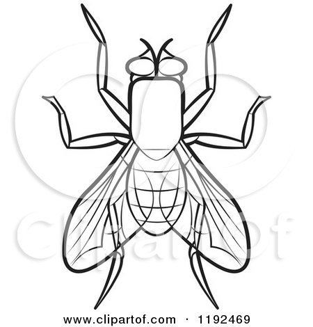 Clipart of a Black and White House Fly - Royalty Free Vector Illustration by Lal Perera