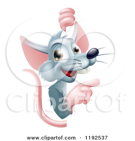 Cartoon of a Happy Gray Rat Pointing Around a Sign - Royalty Free Vector Clipart by AtStockIllustration