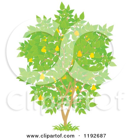 Cartoon of a Fruit Tree with Yellow Pears and Green Leaves - Royalty Free Vector Clipart by Alex Bannykh