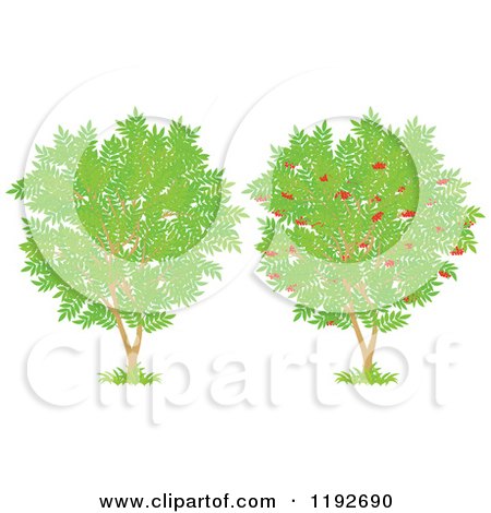 Cartoon of Fruit Trees with Red Apples and Green Leaves - Royalty Free Vector Clipart by Alex Bannykh