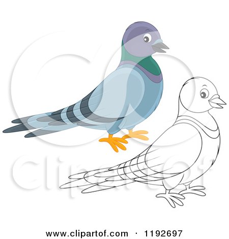 Cartoon of a Cute Happy Pigeon in Color and Outline - Royalty Free Vector Clipart by Alex Bannykh