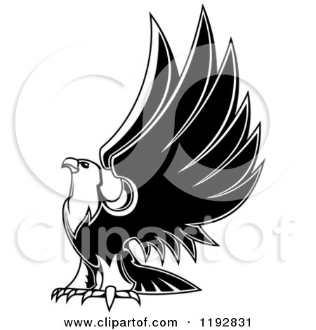 Clipart of a Black and White Eagle Lifting His Wings 2 - Royalty Free Vector Illustration by Vector Tradition SM