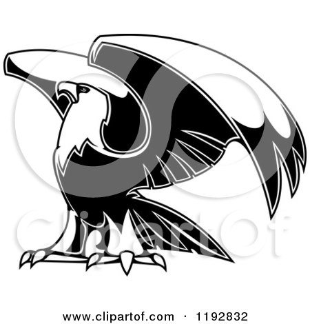 Clipart of a Black and White Eagle Lifting His Wings - Royalty Free Vector Illustration by Vector Tradition SM
