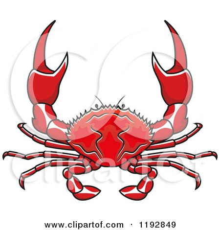 Clipart of a Red Crab with Pincers - Royalty Free Vector Illustration by Vector Tradition SM