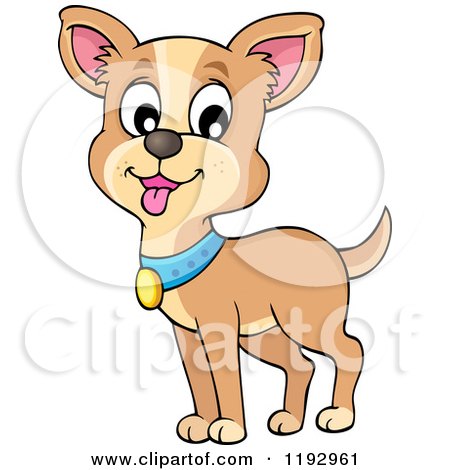Cartoon of a Happy Chihuahua Dog with a Blue Collar - Royalty Free Vector Clipart by visekart