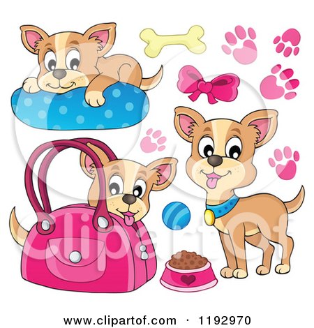Cartoon of Happy Chihuahuas with Prints and Supplies - Royalty Free Vector Clipart by visekart