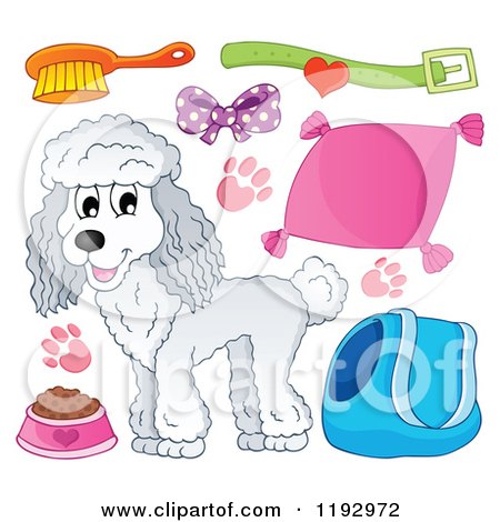 Cartoon of a Happy White Poodle Dog and Supplies - Royalty Free Vector Clipart by visekart
