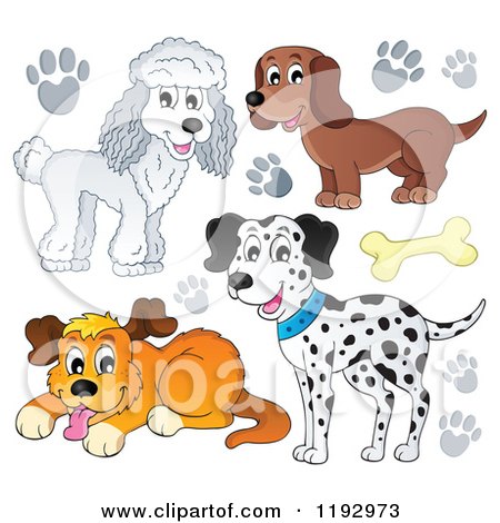 Cartoon of Dogs and Paw Prints - Royalty Free Vector Clipart by visekart