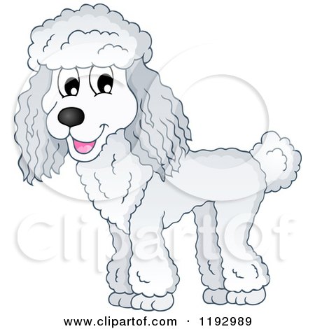 Cartoon of a Happy White Poodle Dog - Royalty Free Vector Clipart by visekart