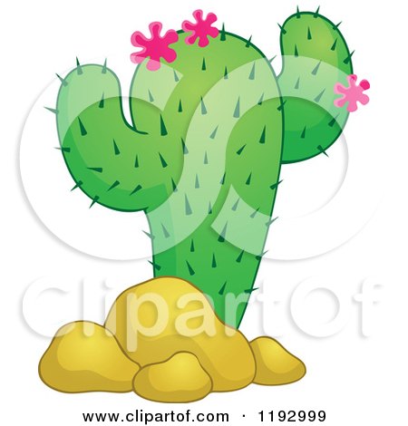 Cartoon of a Green Cacuts Plant with Pink Flowers and Boulders - Royalty Free Vector Clipart by visekart