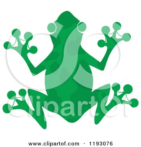 Cartoon of a Green Silhouetted Frog with Markings - Royalty Free Vector Clipart by Hit Toon