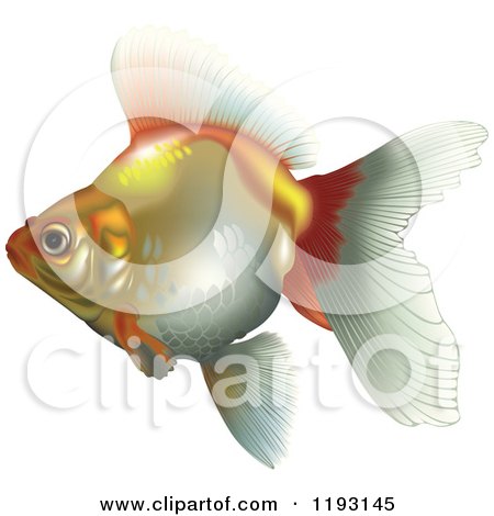 Clipart of a Goldfish - Royalty Free Vector Illustration by dero