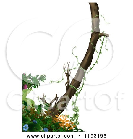 Clipart of a Tree and Jungle Foliage over White - Royalty Free Illustration by dero